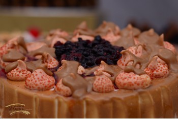 Fresh Cream Cake