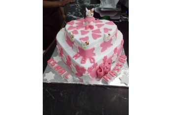 Fancy Cake       